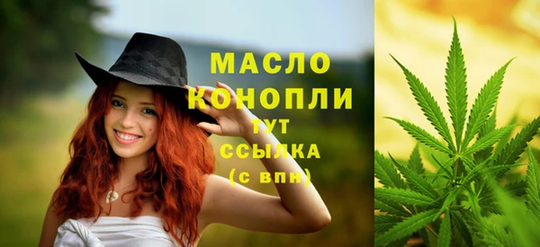 apvp Карпинск