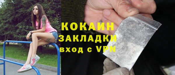 тгк Каменка