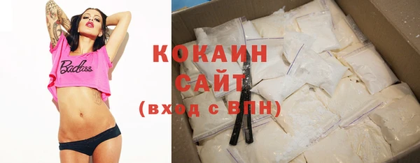 PSILOCYBIN Карталы