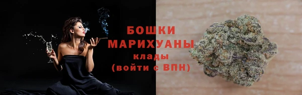 PSILOCYBIN Карталы