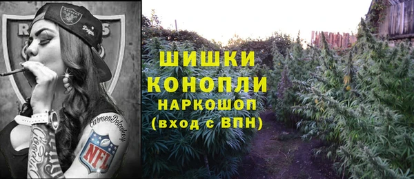 тгк Каменка