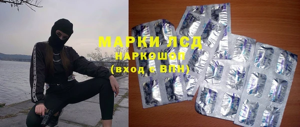 PSILOCYBIN Карталы