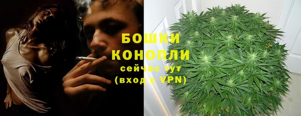 эйфоретик Каменногорск