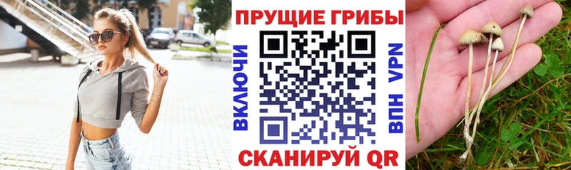 Галлюциногенные грибы Magic Shrooms  Купить  Ермолино 
